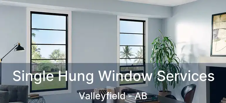  Single Hung Window Services Valleyfield - AB