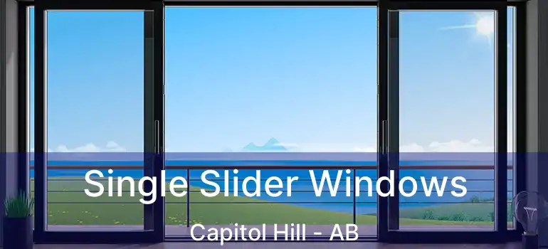  Single Slider Windows Capitol Hill - AB