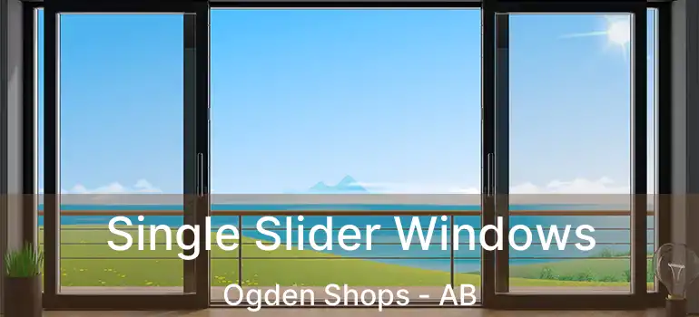  Single Slider Windows Ogden Shops - AB