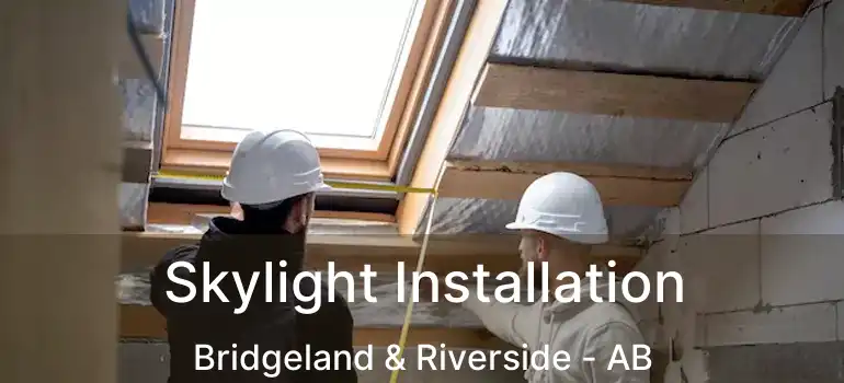  Skylight Installation Bridgeland & Riverside - AB