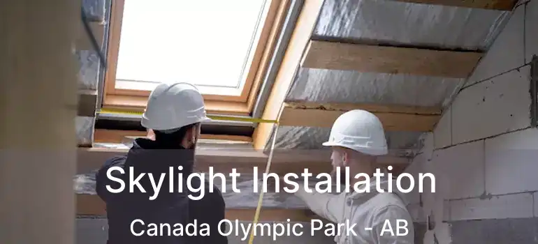  Skylight Installation Canada Olympic Park - AB