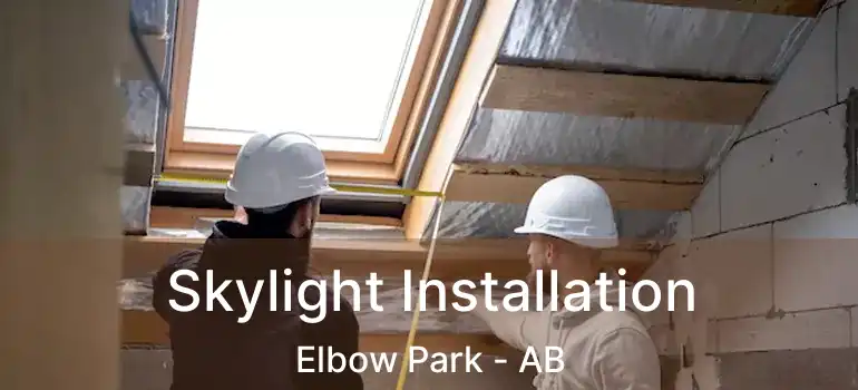  Skylight Installation Elbow Park - AB