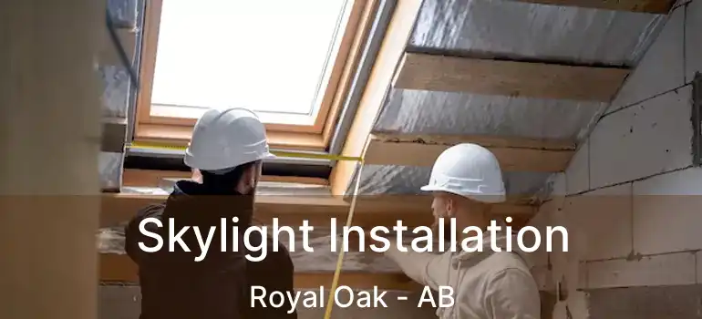  Skylight Installation Royal Oak - AB