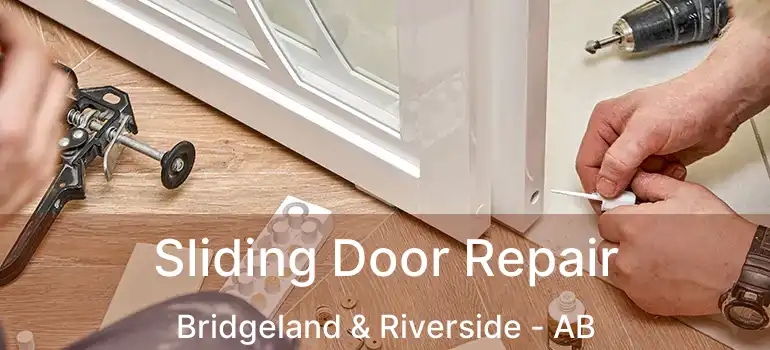  Sliding Door Repair Bridgeland & Riverside - AB