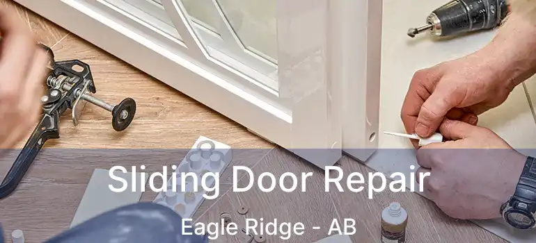  Sliding Door Repair Eagle Ridge - AB