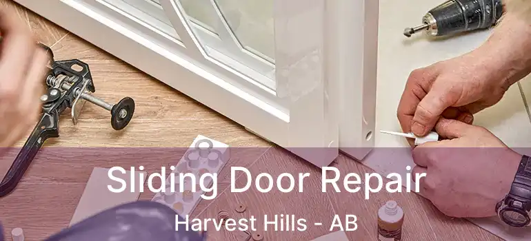  Sliding Door Repair Harvest Hills - AB