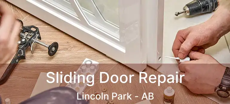  Sliding Door Repair Lincoln Park - AB