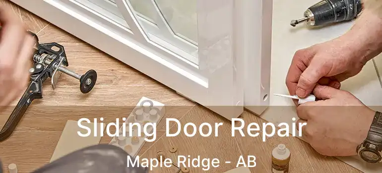  Sliding Door Repair Maple Ridge - AB