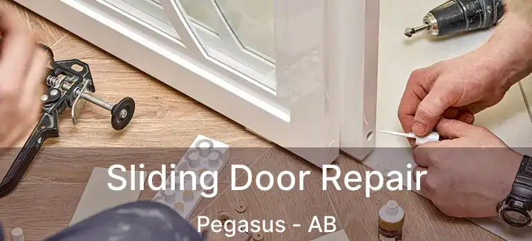  Sliding Door Repair Pegasus - AB