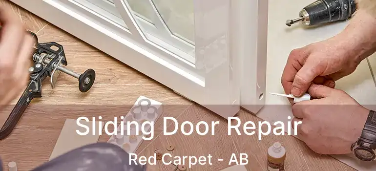  Sliding Door Repair Red Carpet - AB