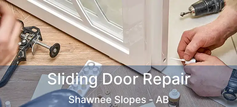  Sliding Door Repair Shawnee Slopes - AB