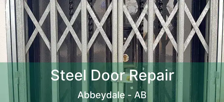  Steel Door Repair Abbeydale - AB