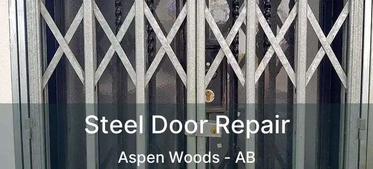  Steel Door Repair Aspen Woods - AB