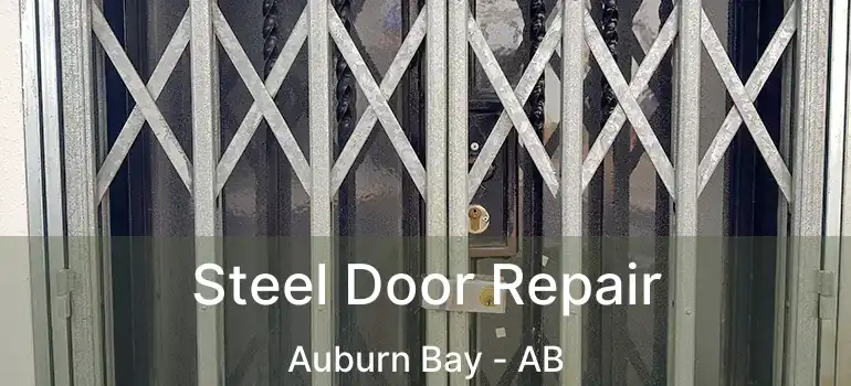  Steel Door Repair Auburn Bay - AB