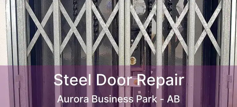  Steel Door Repair Aurora Business Park - AB