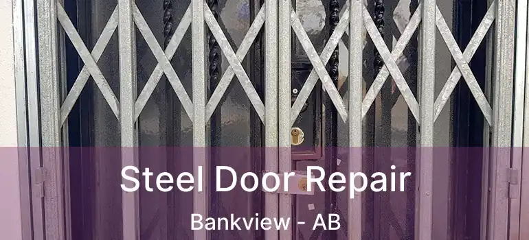  Steel Door Repair Bankview - AB