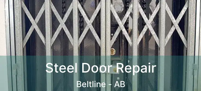  Steel Door Repair Beltline - AB