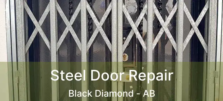  Steel Door Repair Black Diamond - AB