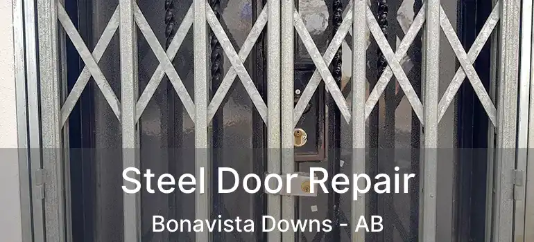  Steel Door Repair Bonavista Downs - AB