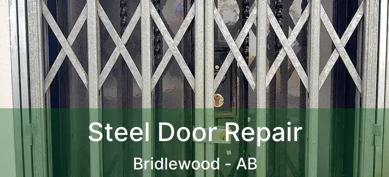  Steel Door Repair Bridlewood - AB