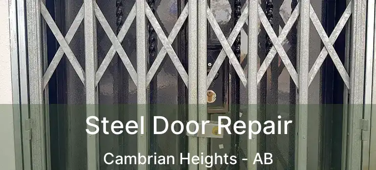  Steel Door Repair Cambrian Heights - AB