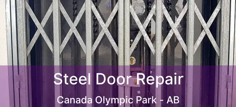  Steel Door Repair Canada Olympic Park - AB