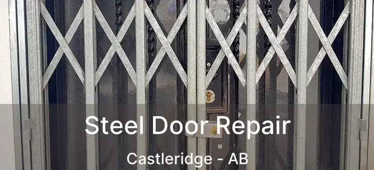  Steel Door Repair Castleridge - AB