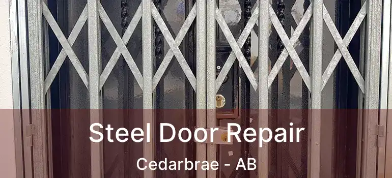  Steel Door Repair Cedarbrae - AB