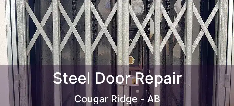  Steel Door Repair Cougar Ridge - AB