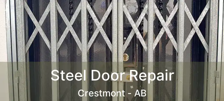  Steel Door Repair Crestmont - AB