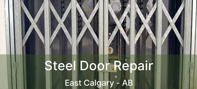  Steel Door Repair East Calgary - AB