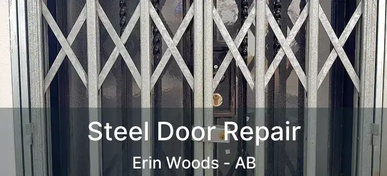  Steel Door Repair Erin Woods - AB