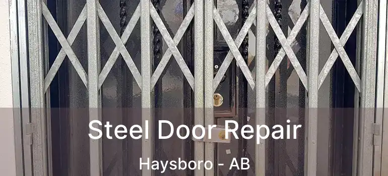  Steel Door Repair Haysboro - AB
