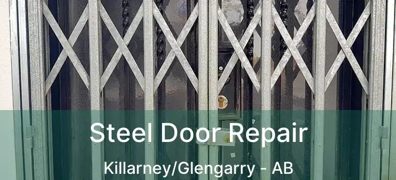  Steel Door Repair Killarney/Glengarry - AB