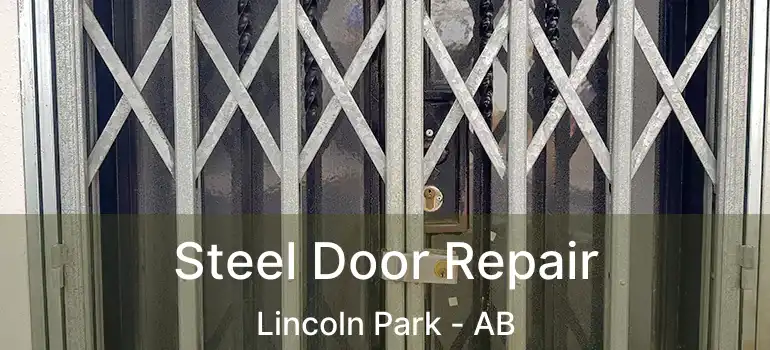  Steel Door Repair Lincoln Park - AB