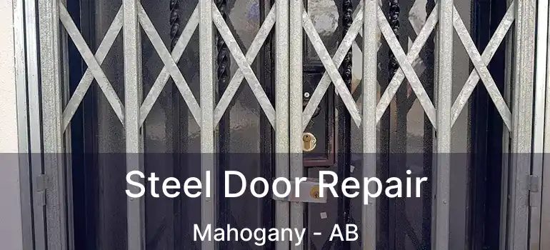  Steel Door Repair Mahogany - AB
