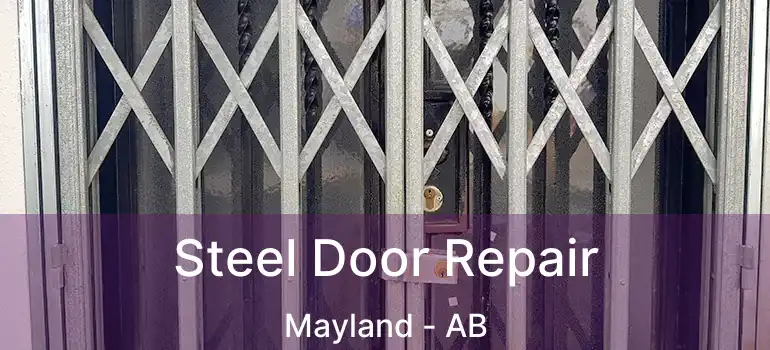  Steel Door Repair Mayland - AB