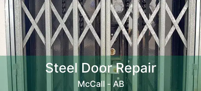  Steel Door Repair McCall - AB