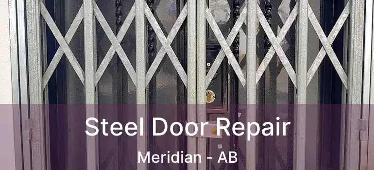 Steel Door Repair Meridian - AB