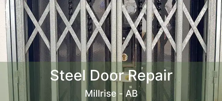  Steel Door Repair Millrise - AB