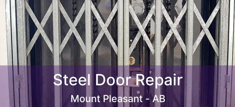  Steel Door Repair Mount Pleasant - AB