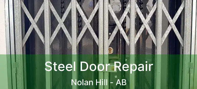  Steel Door Repair Nolan Hill - AB