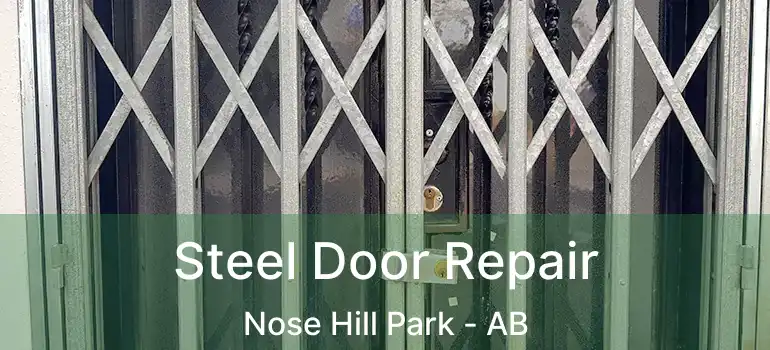  Steel Door Repair Nose Hill Park - AB