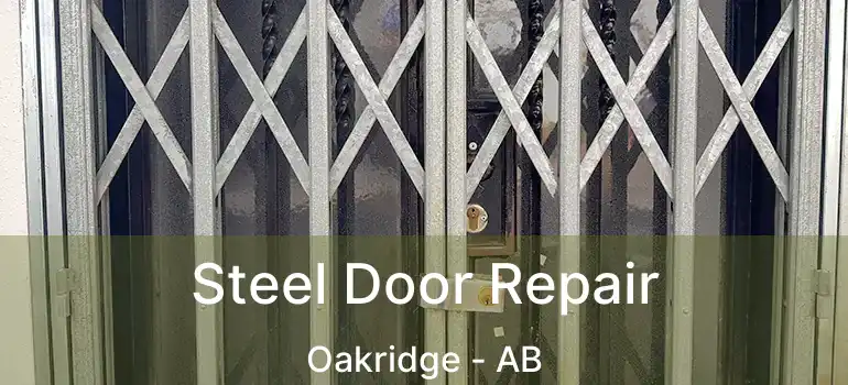  Steel Door Repair Oakridge - AB