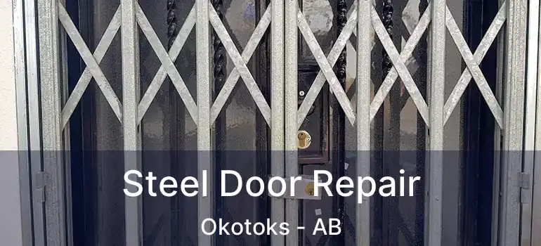  Steel Door Repair Okotoks - AB
