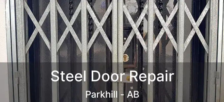  Steel Door Repair Parkhill - AB
