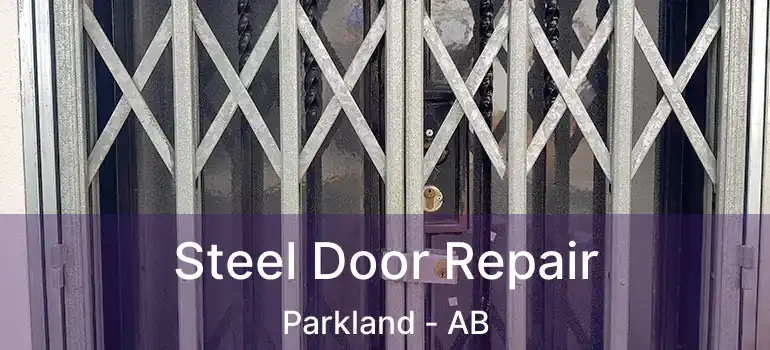  Steel Door Repair Parkland - AB
