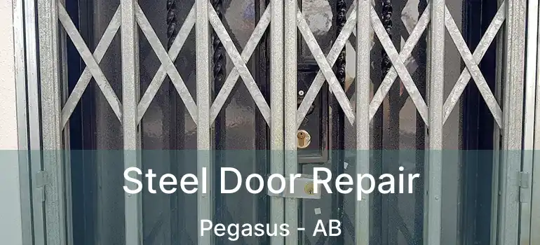  Steel Door Repair Pegasus - AB
