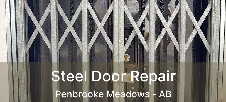  Steel Door Repair Penbrooke Meadows - AB