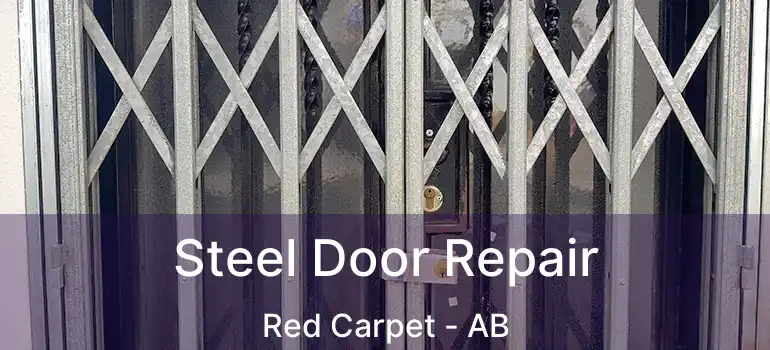  Steel Door Repair Red Carpet - AB